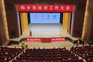 【菊乡快评】经济工作大会上，桐乡市委书记为何重点讲jc710公海赌船的电子布？